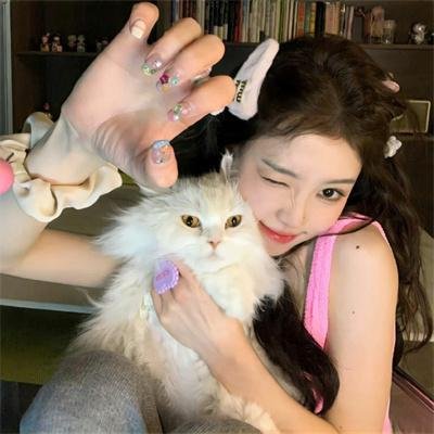 黑猫白猫